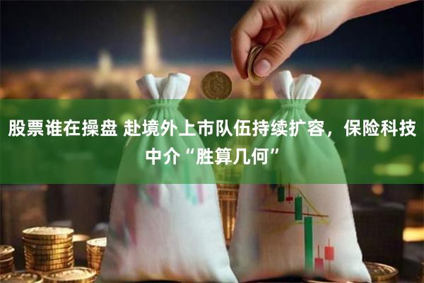 股票谁在操盘 赴境外上市队伍持续扩容，保险科技中介“胜算几何”