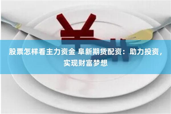 股票怎样看主力资金 阜新期货配资：助力投资，实现财富梦想
