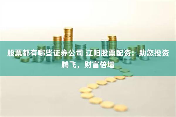 股票都有哪些证券公司 辽阳股票配资：助您投资腾飞，财富倍增